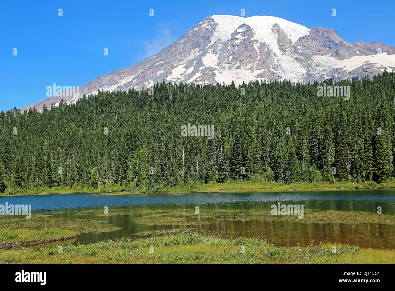 Reflection Lake e Mount Rainier - Washington Foto Stock