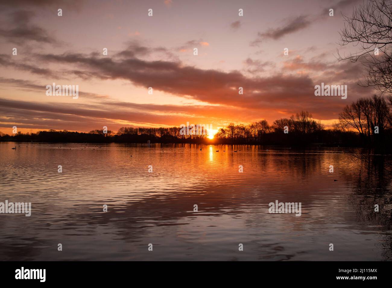 Sunrise at Colwick Park a Nottingham, Nottinghamshire Inghilterra Regno Unito Foto Stock