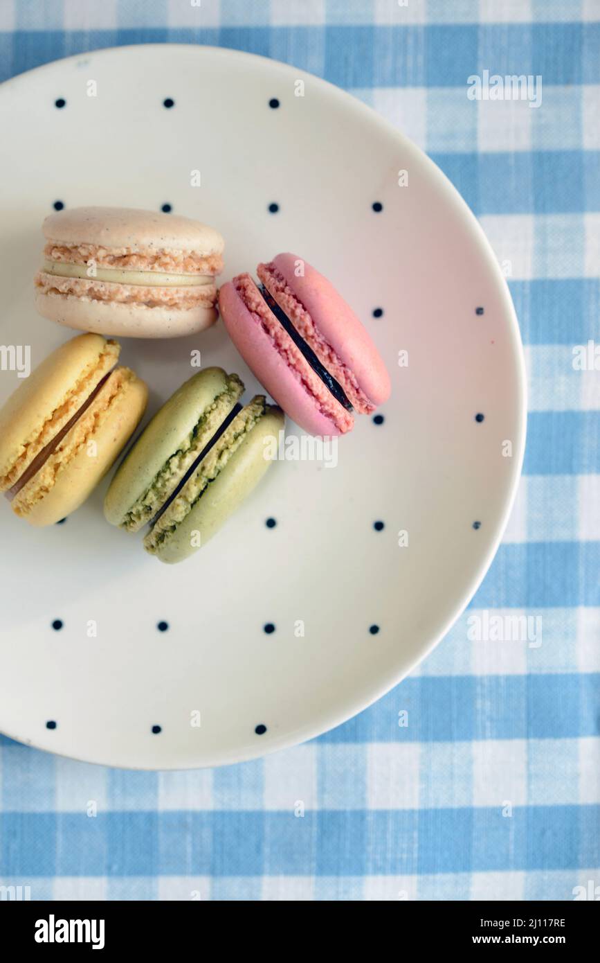 Quattro biscotti francesi di macaron su un piatto punteggiato di polka su un panno da tavolo a scacchi blu e bianco Foto Stock Quattro biscotti francesi di macaron su un piatto punteggiato di polka su un panno da tavolo a scacchi blu e bianco Foto Stock