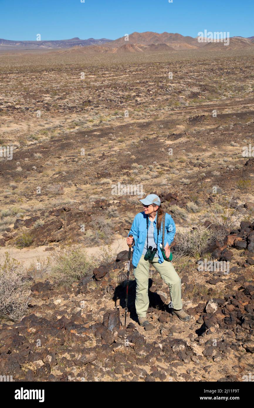 Vista sul deserto vicino a Willow Wash, Mojave Wilderness, Mojave National Preserve, California Foto Stock