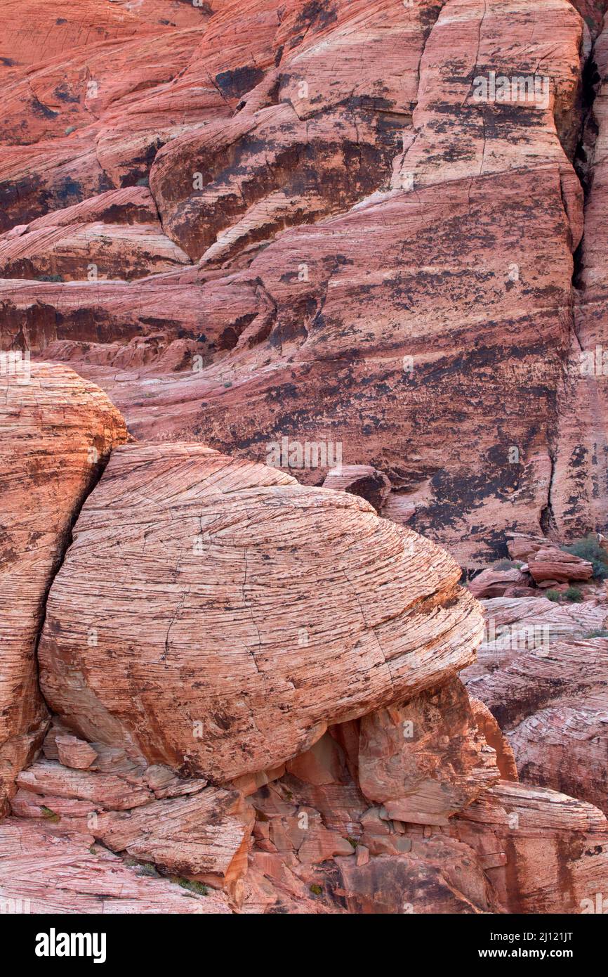 Affioramento di arenaria a Calico Hills, Red Rock Canyon National Conservation Area, Nevada Foto Stock