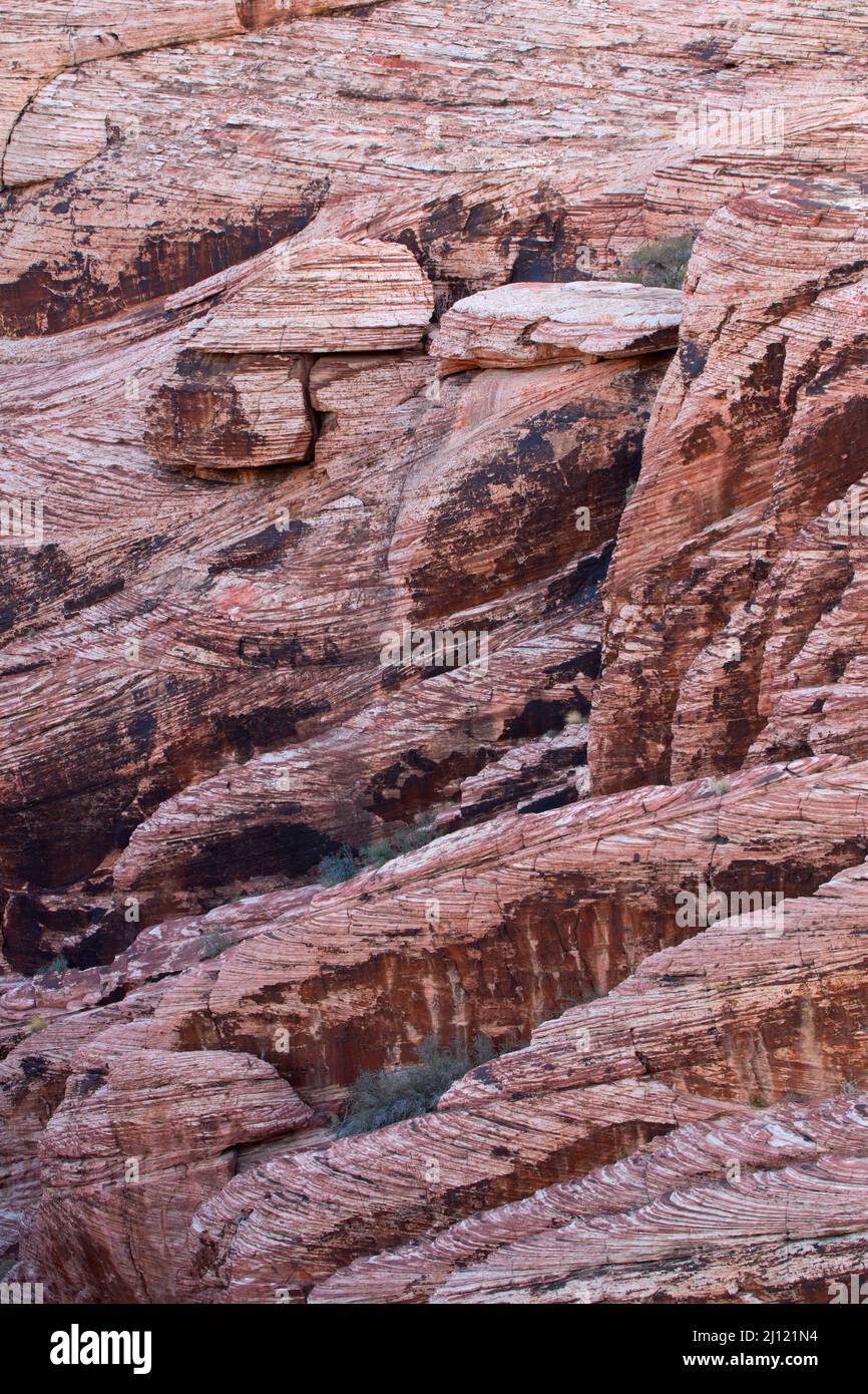 Affioramento di arenaria a Calico Hills, Red Rock Canyon National Conservation Area, Nevada Foto Stock