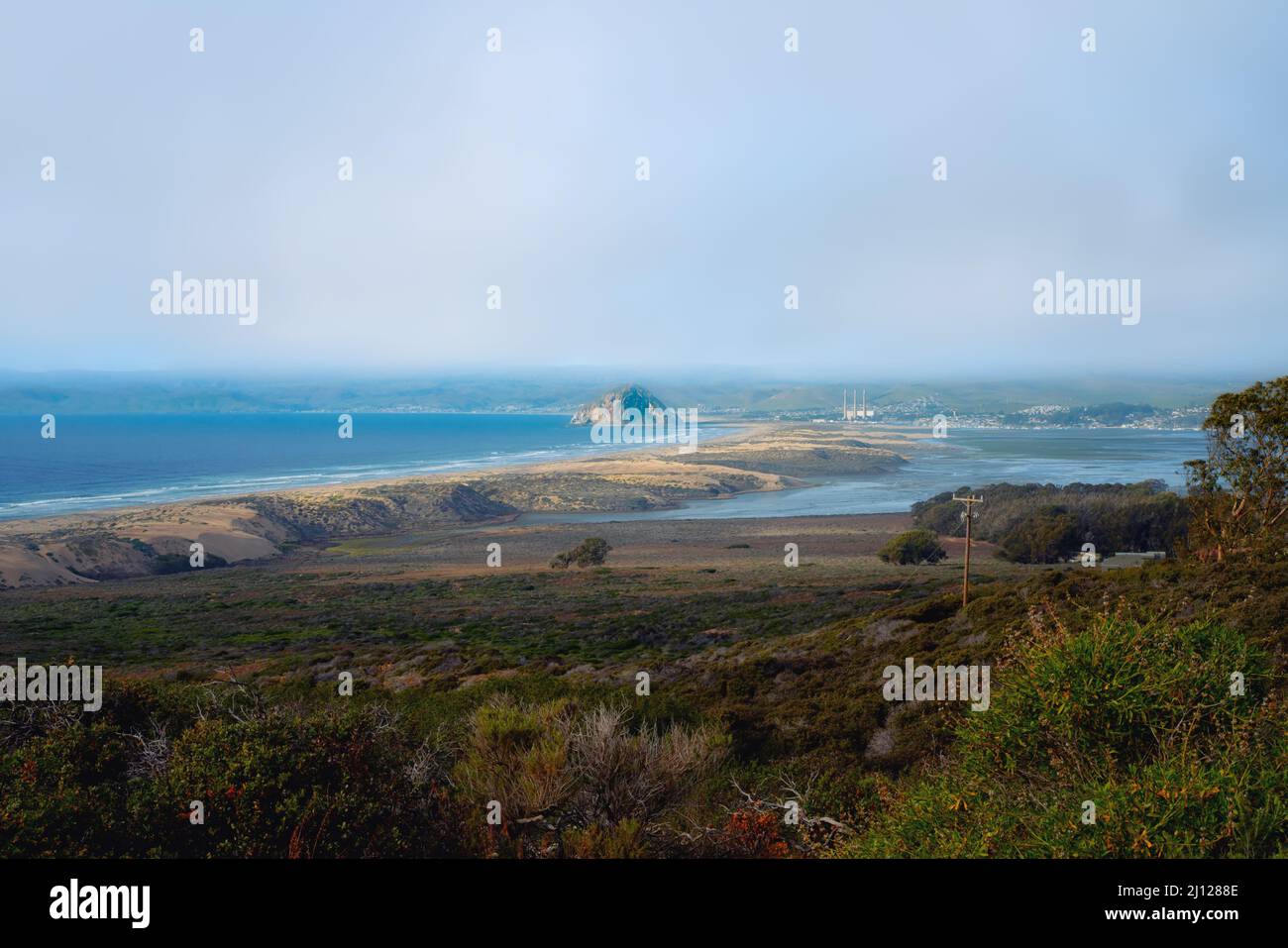 Scogliere rocciose, Morro Rock, e l'oceano Pacifico, vista incredibile dal sentiero Montana de Oro Bluff, California Foto Stock