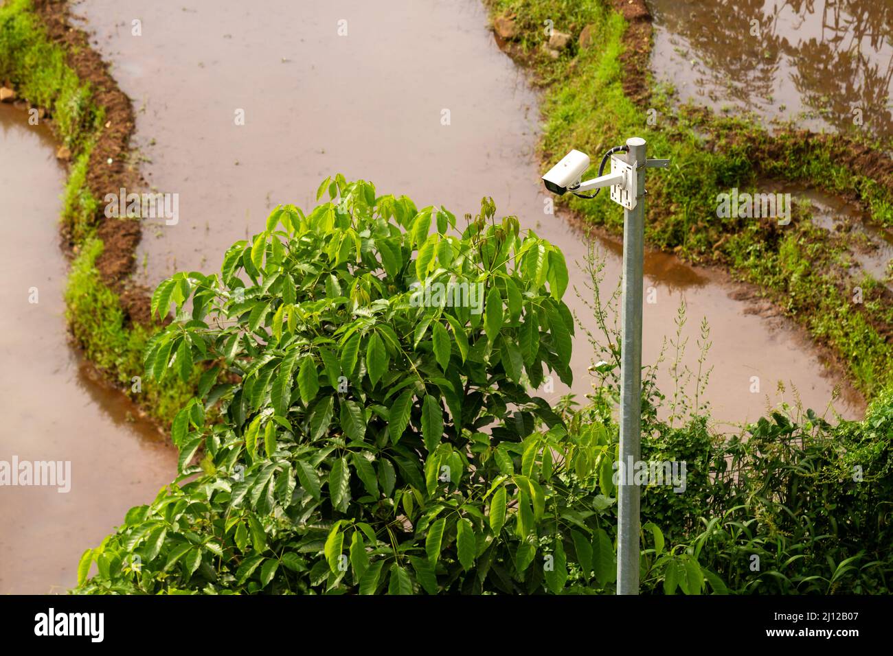 L'uso di telecamere tvcc per monitorare le condizioni ambientali in modo da poter controllare la sicurezza, lo sviluppo di tecnologie di sicurezza Foto Stock