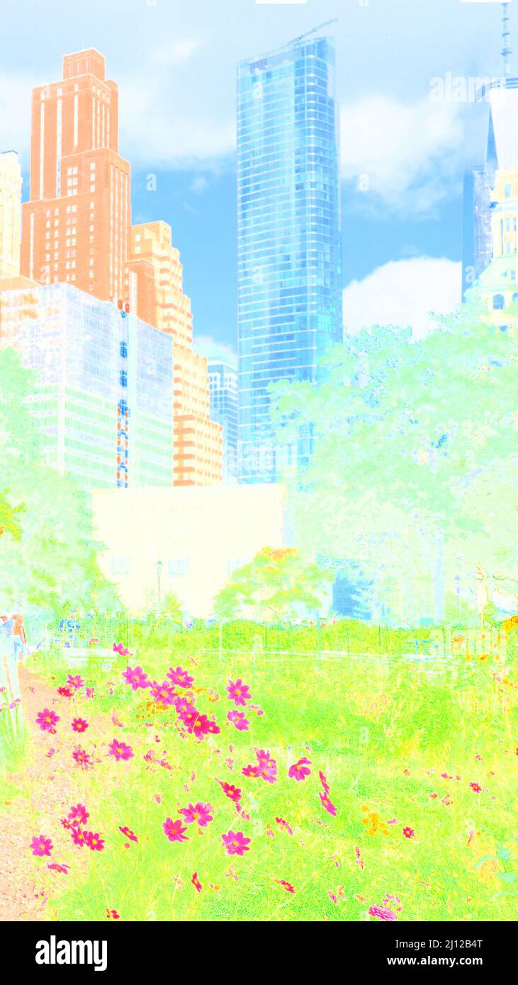 Margherite in una parte informale della batteria, Lower Manhattan, con grattacieli sullo sfondo e colori sbiaditi che suggeriscono l'estate in città Foto Stock