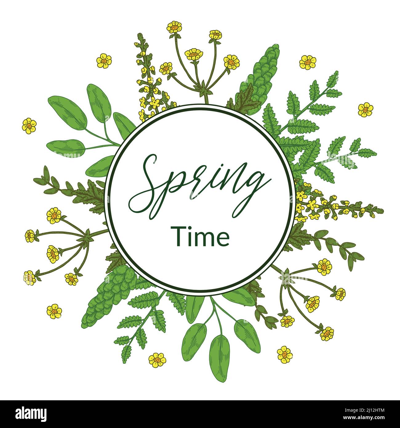 Primavera cornice verde floreale con fiori di prato. Illustrazione vettoriale disegnata a mano Illustrazione Vettoriale