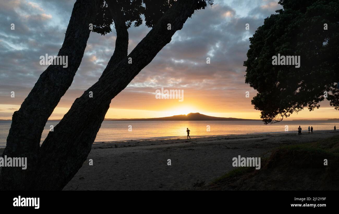 Silhouette di persone che corrono e camminano sulla spiaggia di Milford, incorniciata da alberi di Pohutukawa all'alba, Auckland. Foto Stock