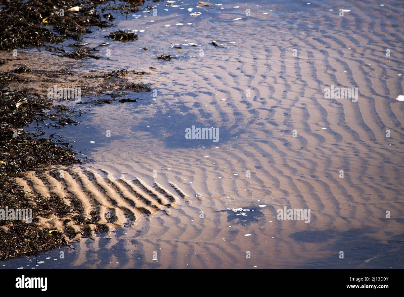 Come la marea recede increspature nella sabbia sono esposti. A volte queste increspature possono essere fossilizzate nei sedimenti per fornire un sacco di informazioni alla scienza Foto Stock