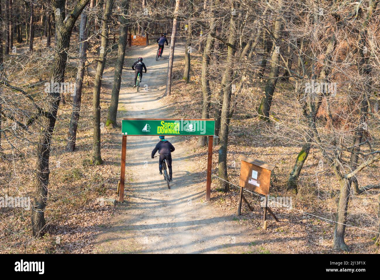 Ciclisti al punto di partenza del sentiero per mountain bike Sopron Downhill a Varhely-kilato, Sopron Mountains, Sopron, Ungheria Foto Stock