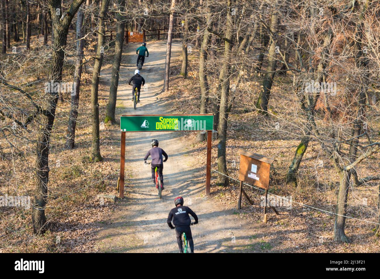 Ciclisti al punto di partenza del sentiero per mountain bike Sopron Downhill a Varhely-kilato, Sopron Mountains, Sopron, Ungheria Foto Stock