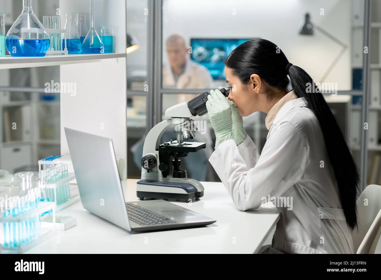 Vista laterale di giovani ricercatori chimici femminili che lavorano al microscopio mentre studiano nuove sostanze per posto di lavoro in laboratorio Foto Stock