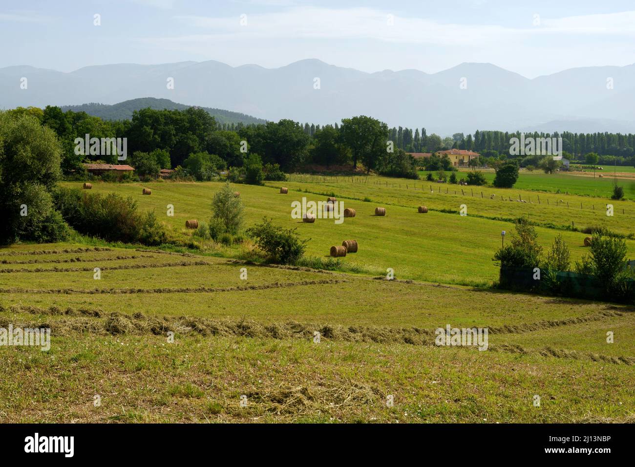 Paesaggio rurale lungo la strada da Rieri a Contigliano, Lazio, Italia, in mattinata estiva Foto Stock