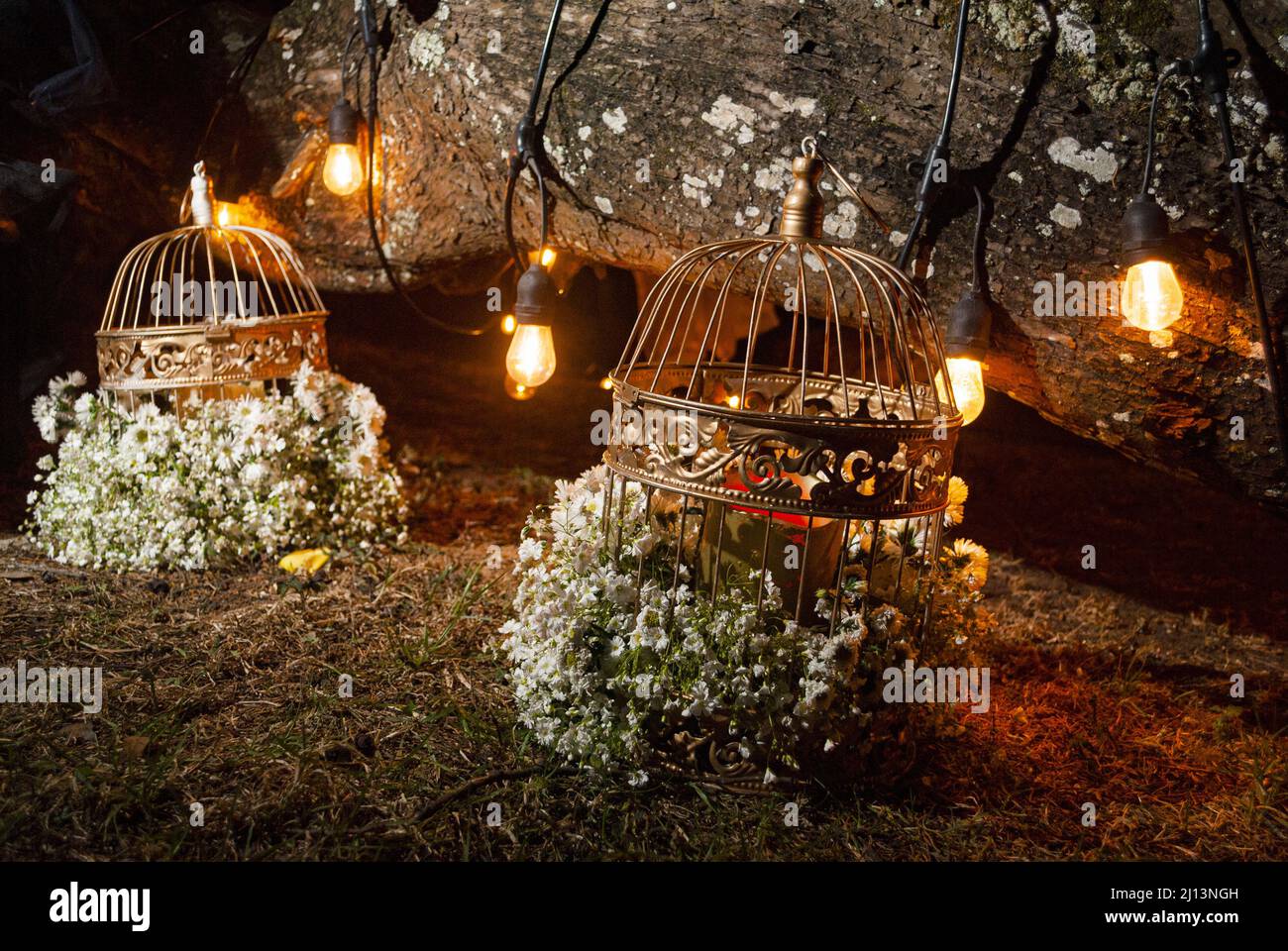Disposizione floreale notturna, esposta all'aperto circondata da luce artificiale, gabbie poste sul pavimento Foto Stock