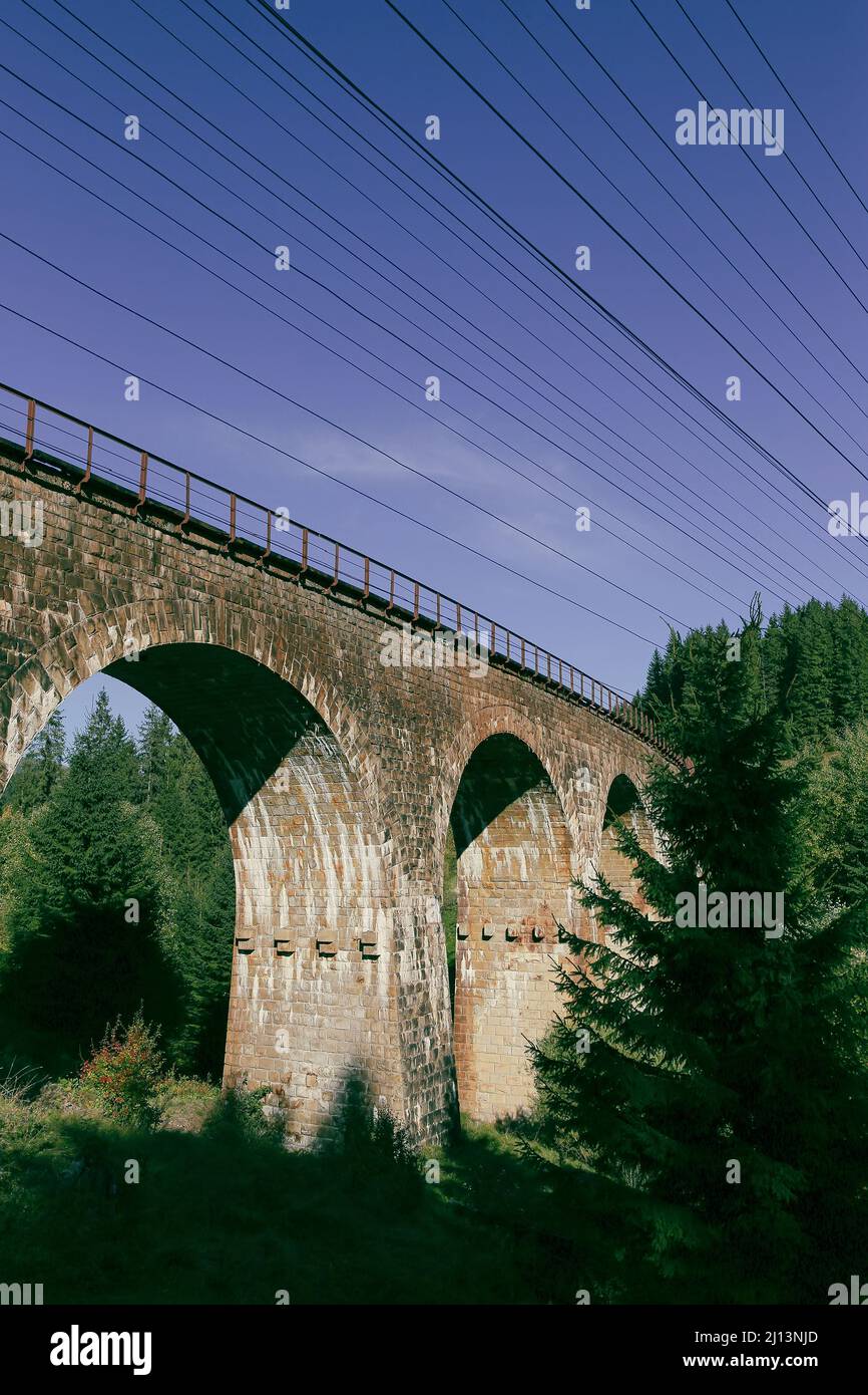 Viadotto antico in foresta Foto Stock