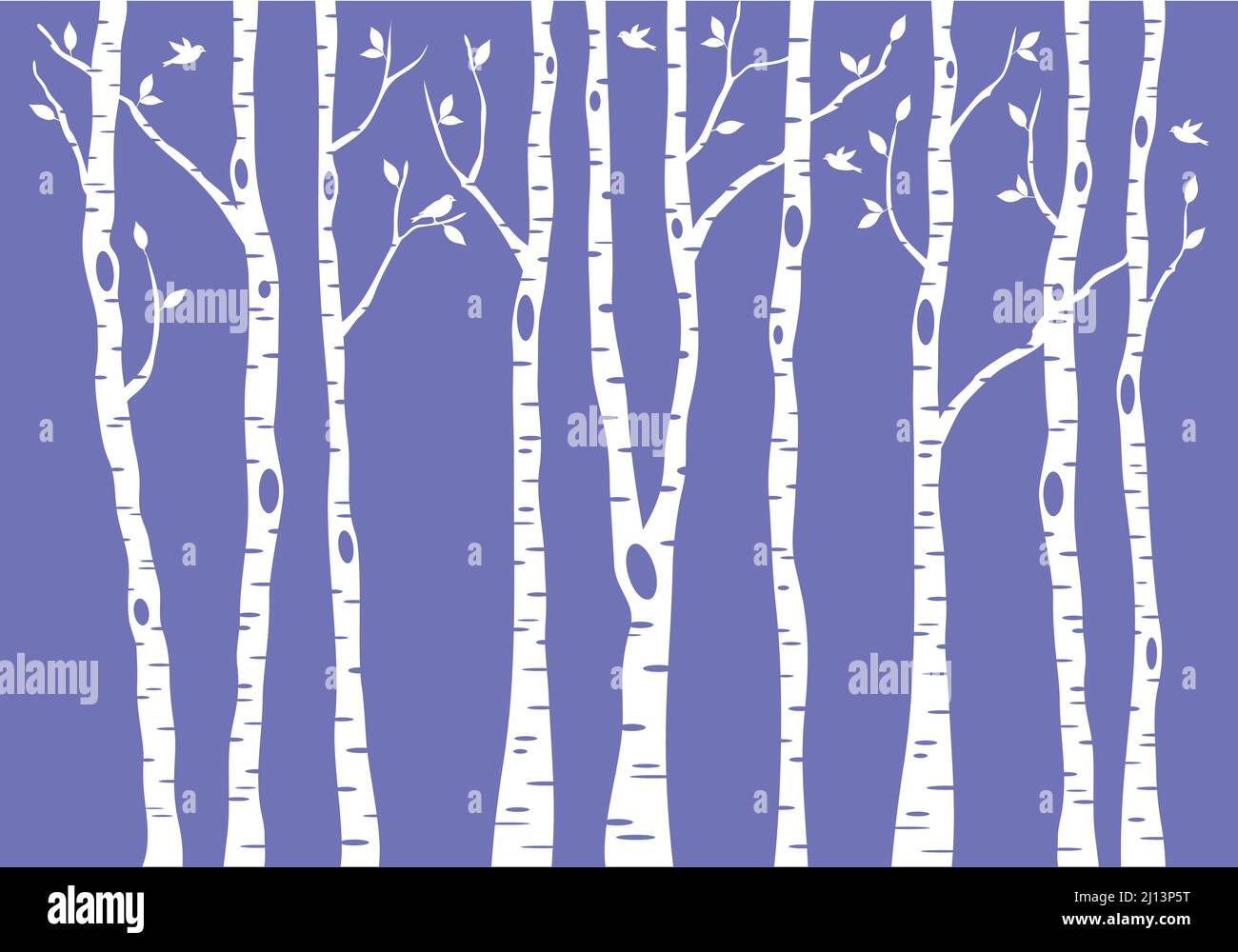 foresta di betulla con uccelli, illustrazione vettoriale su sfondo viola molto peri Illustrazione Vettoriale