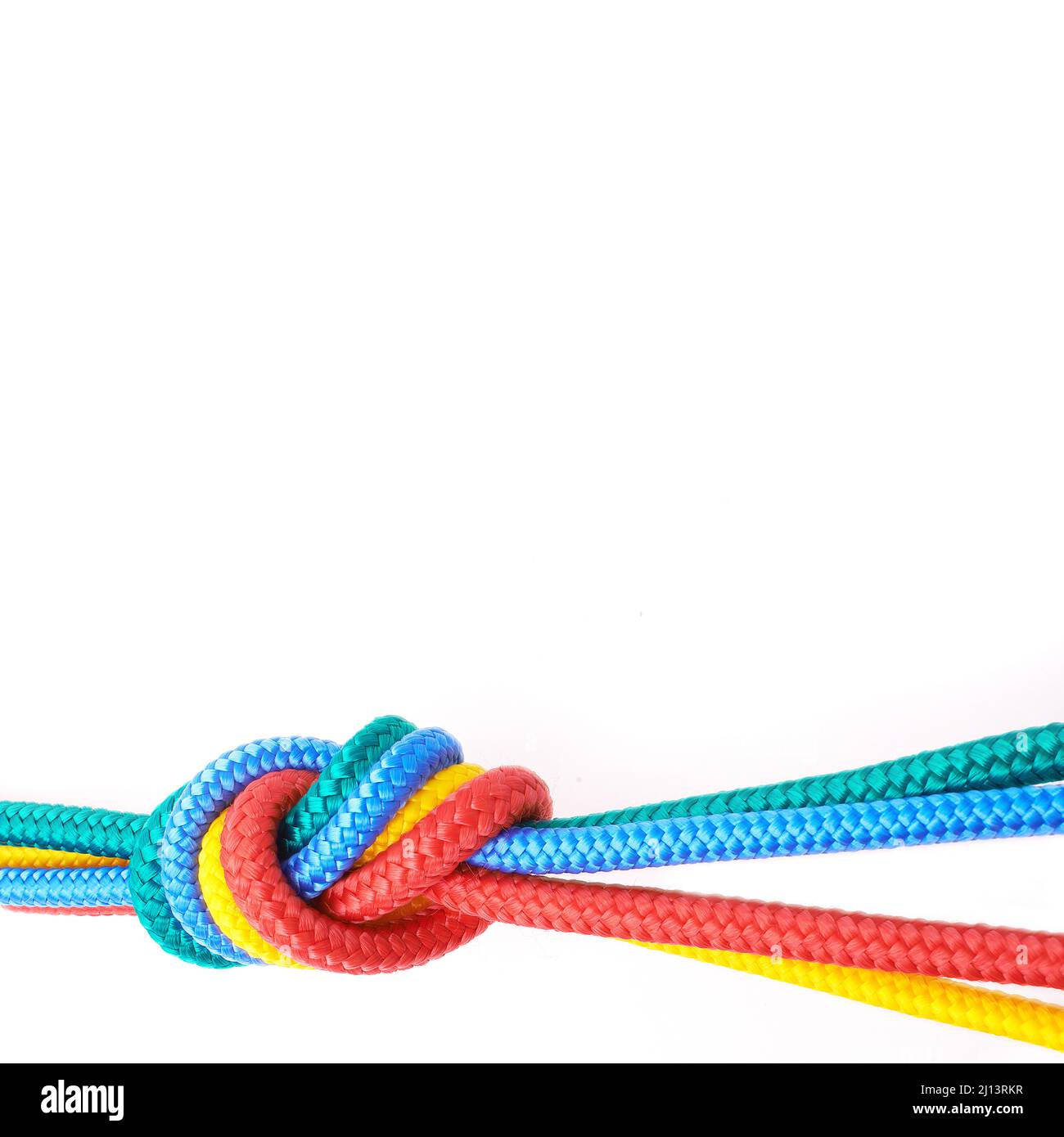 Tenere premuto velocemente. Studio tiro corde annodato insieme isolato su bianco. Foto Stock