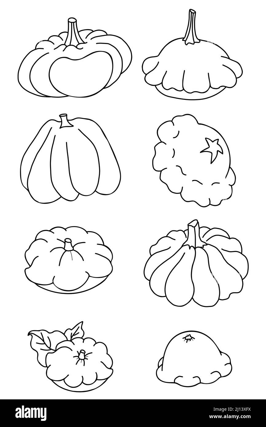 Set di verdure. Zucca e pattison. Illustrazione vettoriale. Disegno a mano lineare isolato, contorno per design, arredamento e decorazione. Illustrazione Vettoriale