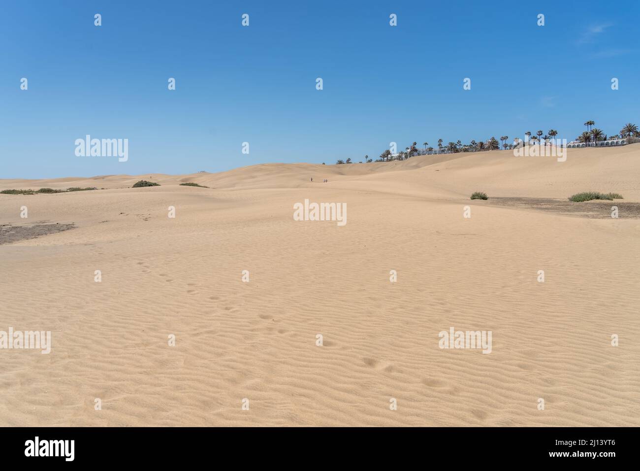 MASPALOMAS, GRAN CANARIA, Isole CANARIE, SPAGNA - MARZO 11 : una vista delle dune di sabbia vicino a Maspalomas, Gran Canaria il 11 Marzo 2022 tre unidentifi Foto Stock