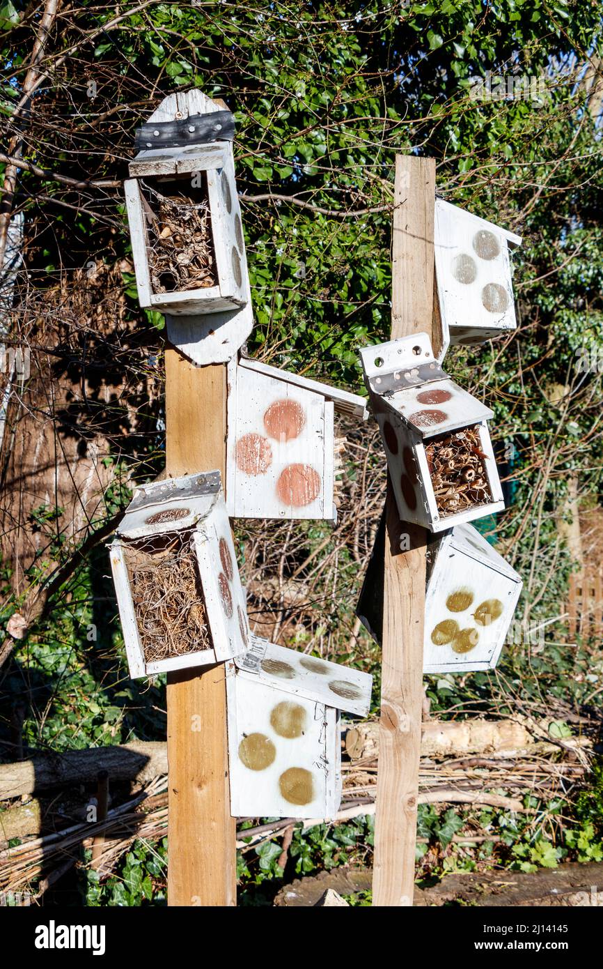UN 'insetto hotel' in Sunnyside Gardens, North London, Regno Unito. Le scatole forniscono un habitat di overwintering per insetti ed altri insetti Foto Stock