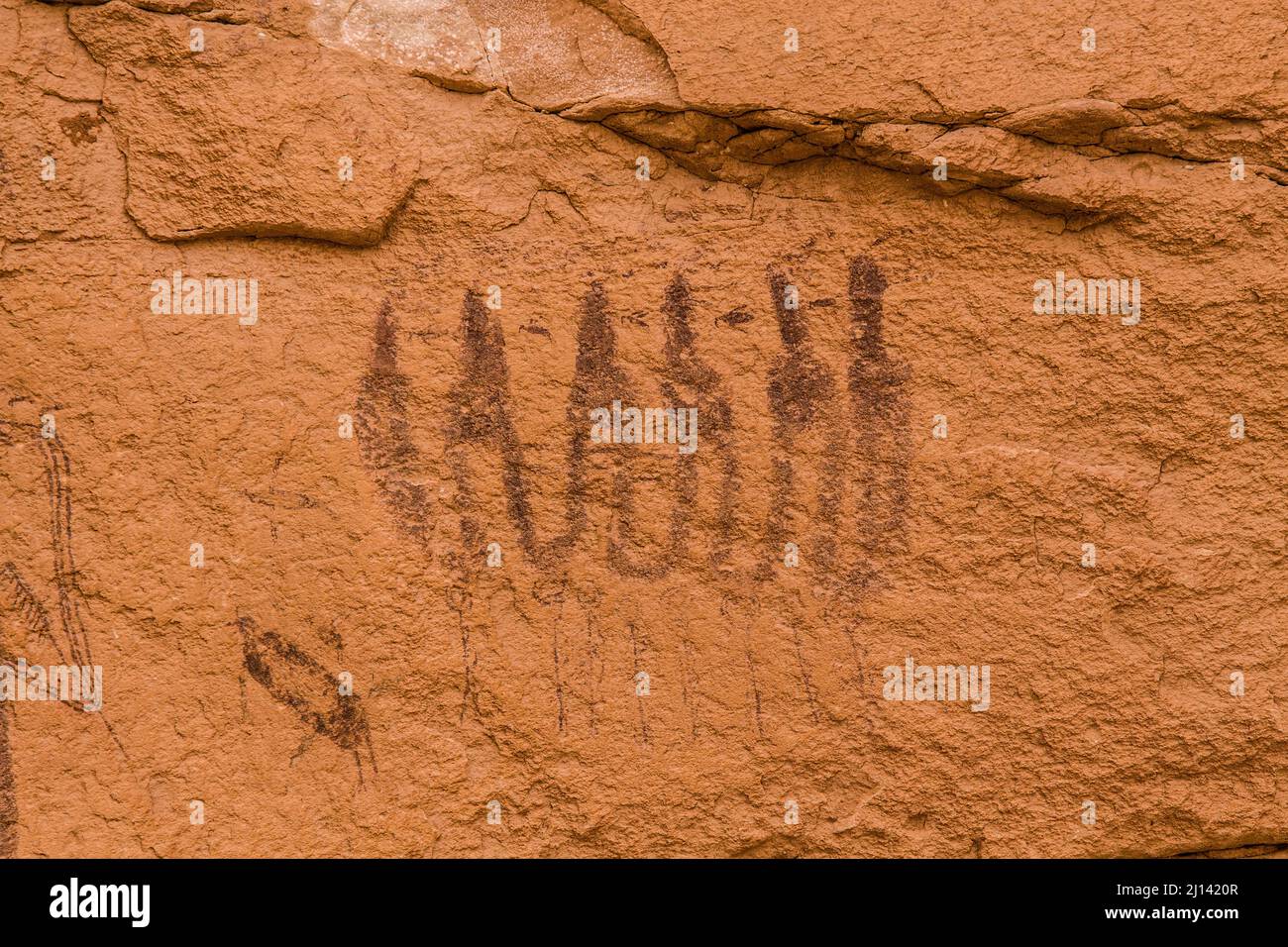 Una sezione del pannello di pittogrammi dell'intestino Man, situata su un muro di arenaria nel Seven Mile Canyon vicino a Moab, Utah. I dipinti sono stati fatti al Bar Foto Stock