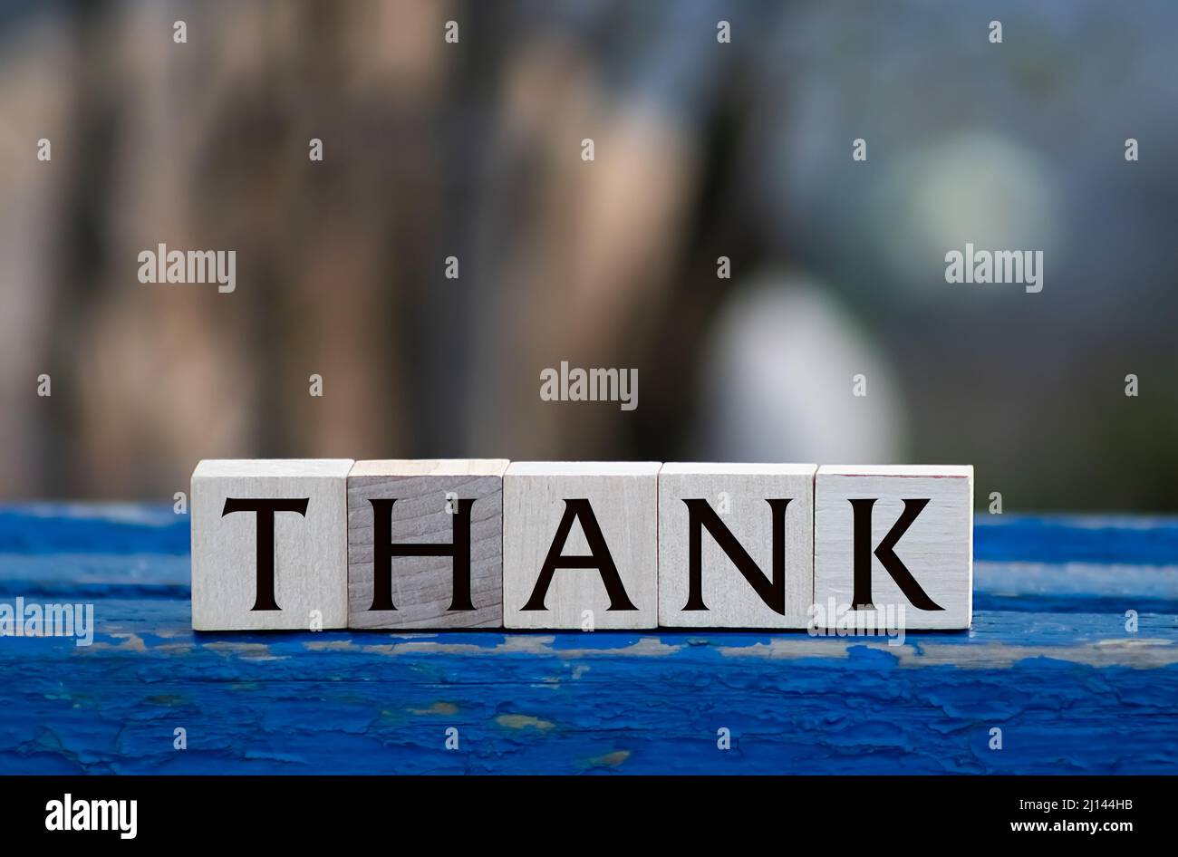 Cubetti ciascuno con una lettera su di esso ha scritto la parola Grazie. Foto Stock