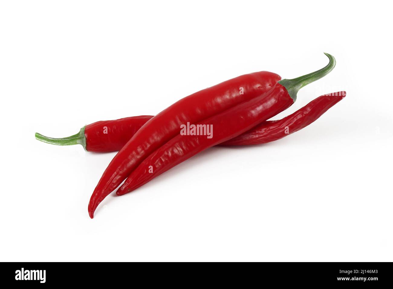 diversi peperoncini rossi caldi isolati su sfondo bianco Foto Stock