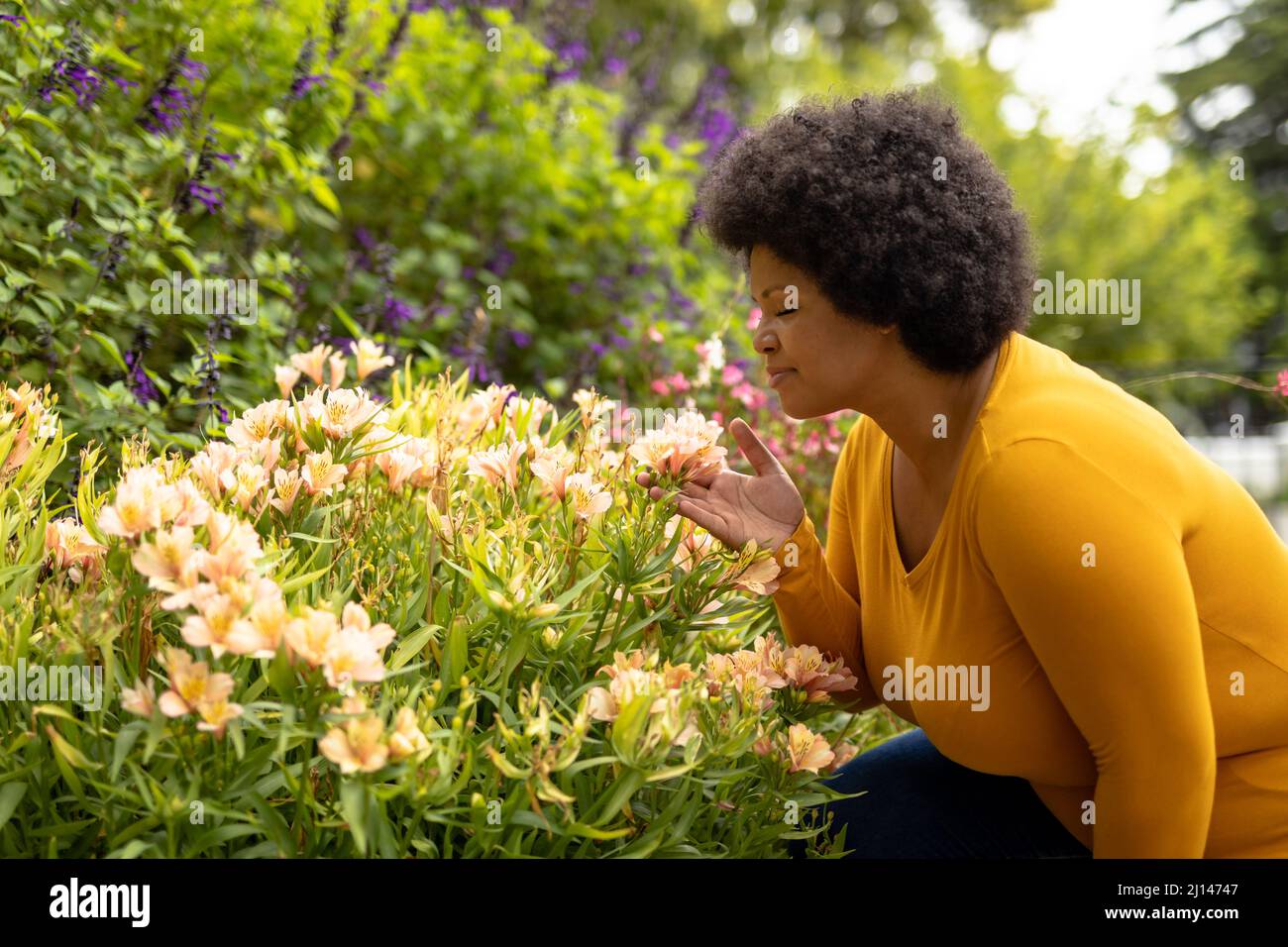 Vista laterale afroamericana, donna di metà età adulta che odora fiori in giardino Foto Stock