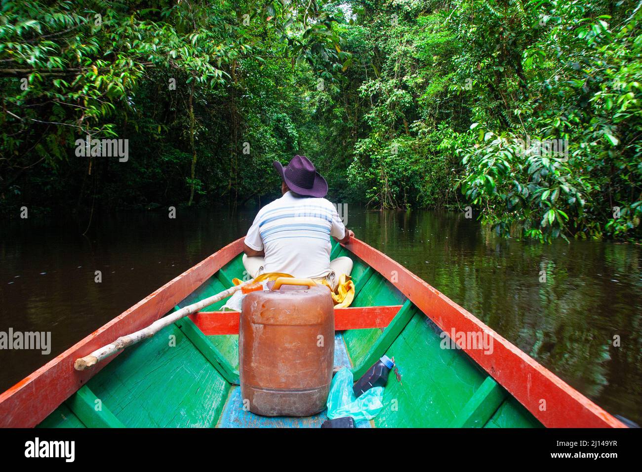 Giro in barca attraverso la giungla profonda del Borneo Foto Stock