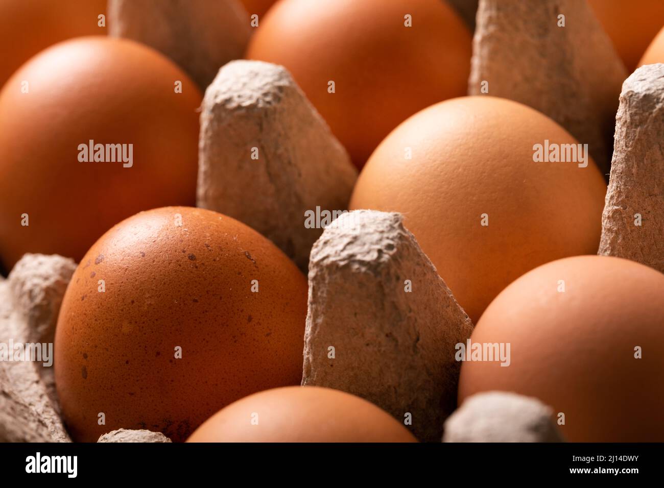 Primo piano dell'intero telaio di uova fresche di colore marrone su cartone Foto Stock
