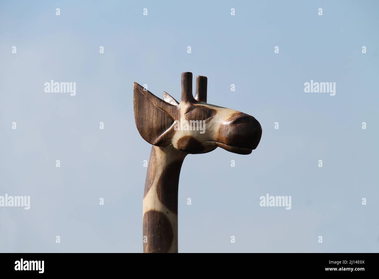 La testa scolpita di un modello giraffa in legno. Foto Stock