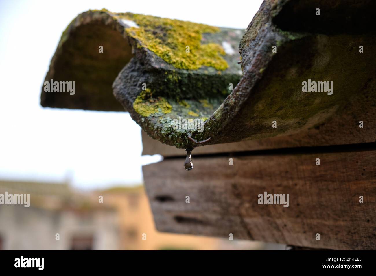Ultime gocce di acqua piovana che cadono da un tetto. Una goccia si vede cadere da un tetto rustico con una trave di legno. Foto Stock