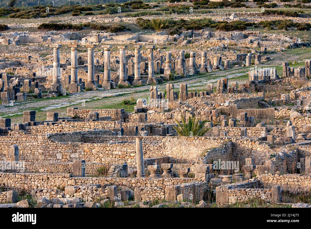 Antiche rovine romane in un sito archeologico, Volubilis, Meknes, Marocco Foto Stock