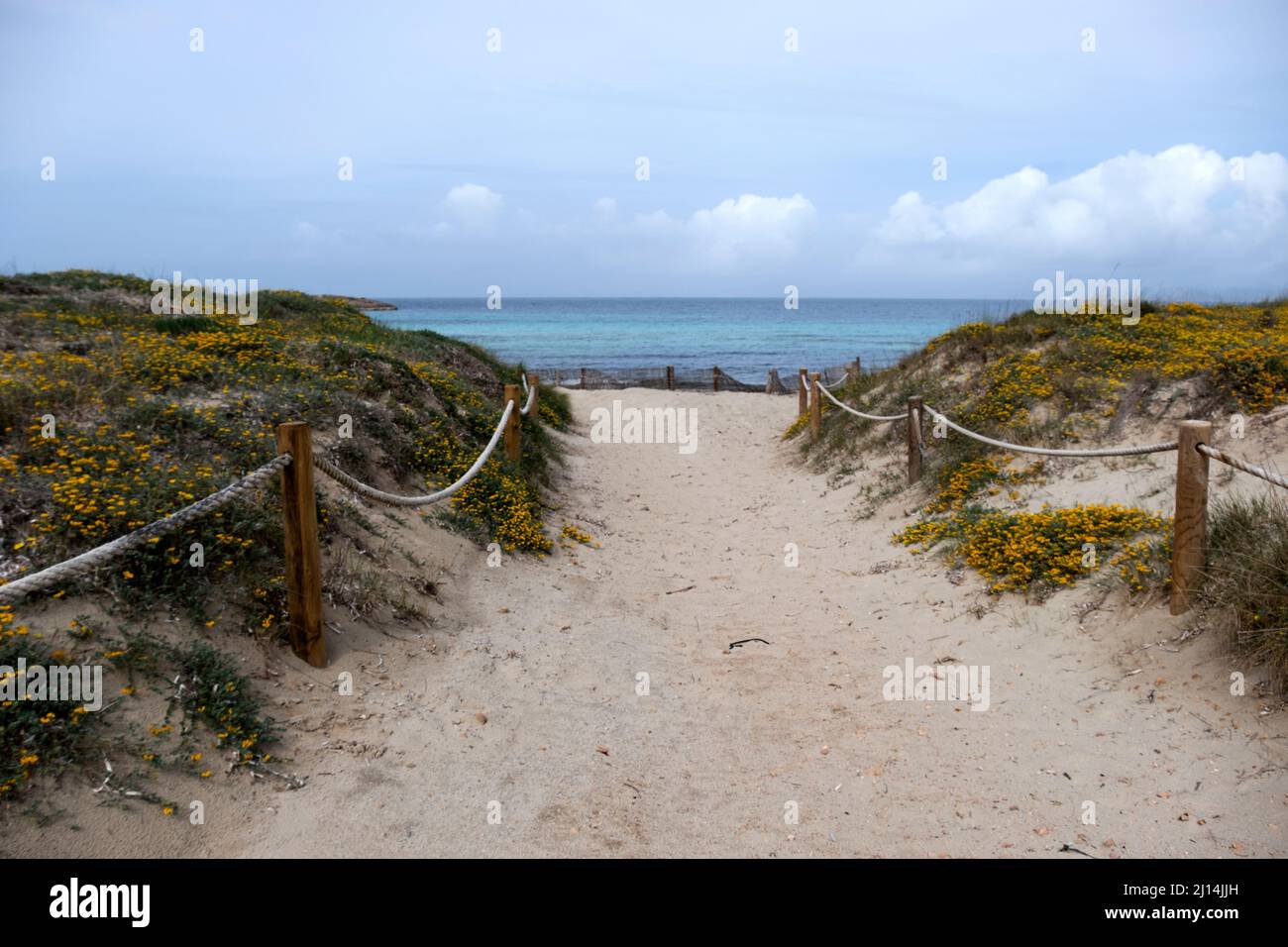 Playa de Ses Illetes, Formentera, Spagna Foto Stock