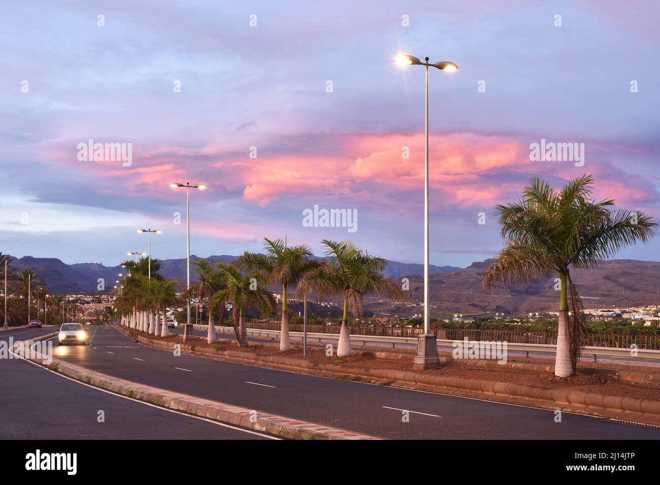 Strada vialetto e vicolo di palme al tramonto a Maspalomas a sud di Gran Canaria Isole Canarie Spagna. Foto Stock