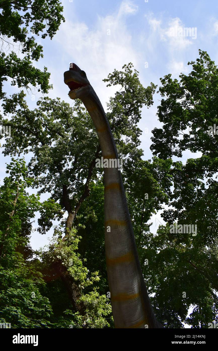 DINO PARK, KHARKOV - 8 AGOSTO 2021: Vista della bella scultura di Dinosaur nel parco. Modello realistico di Brachiosaurus. Testa vicino al dinosauro. Foto Stock