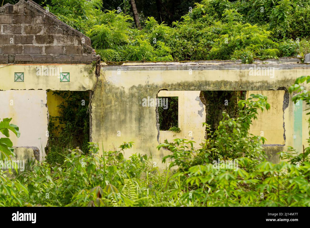 Un vecchio edificio che è stato danneggiato e non è mantenuto con piante e erbacce che crescono intorno ad esso, di nuovo alla natura Foto Stock