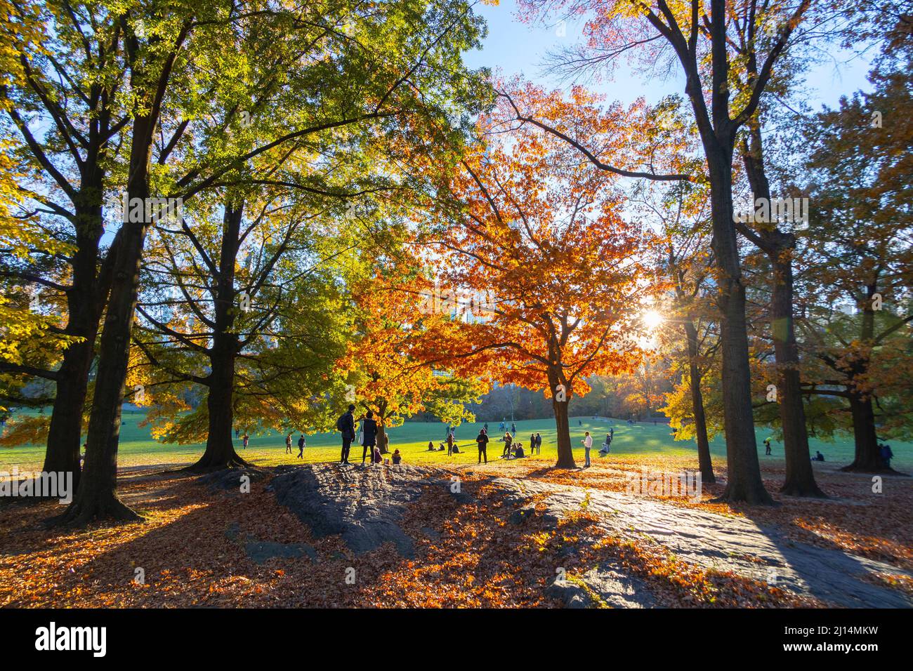 Autunno foglie di colore alberi brillare in Central Park NYC 2021 Foto Stock