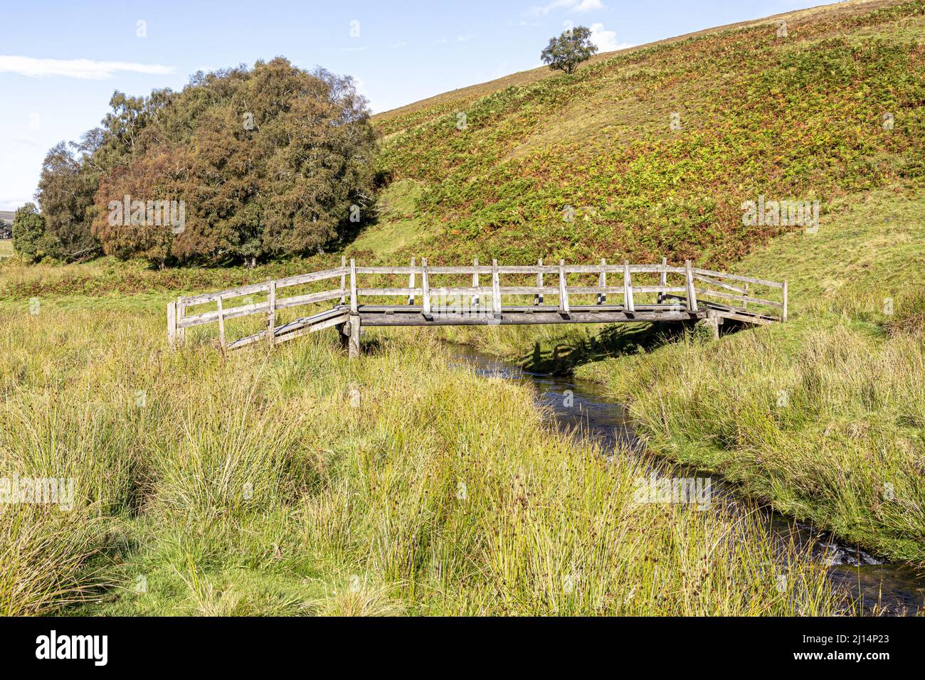 Una passerella di legno sull'acqua di Conglass a Blairnamarrow vicino a Tomintoul, Moray, Scozia Regno Unito. Foto Stock