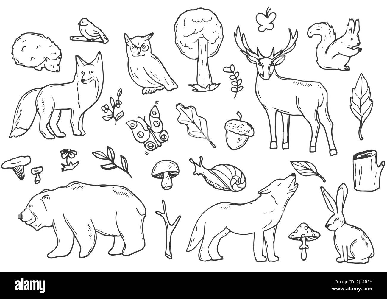 Woodland Animals Forest Doodle icone schizzo. Vettore disegno a mano. Isolato su bianco Illustrazione Vettoriale