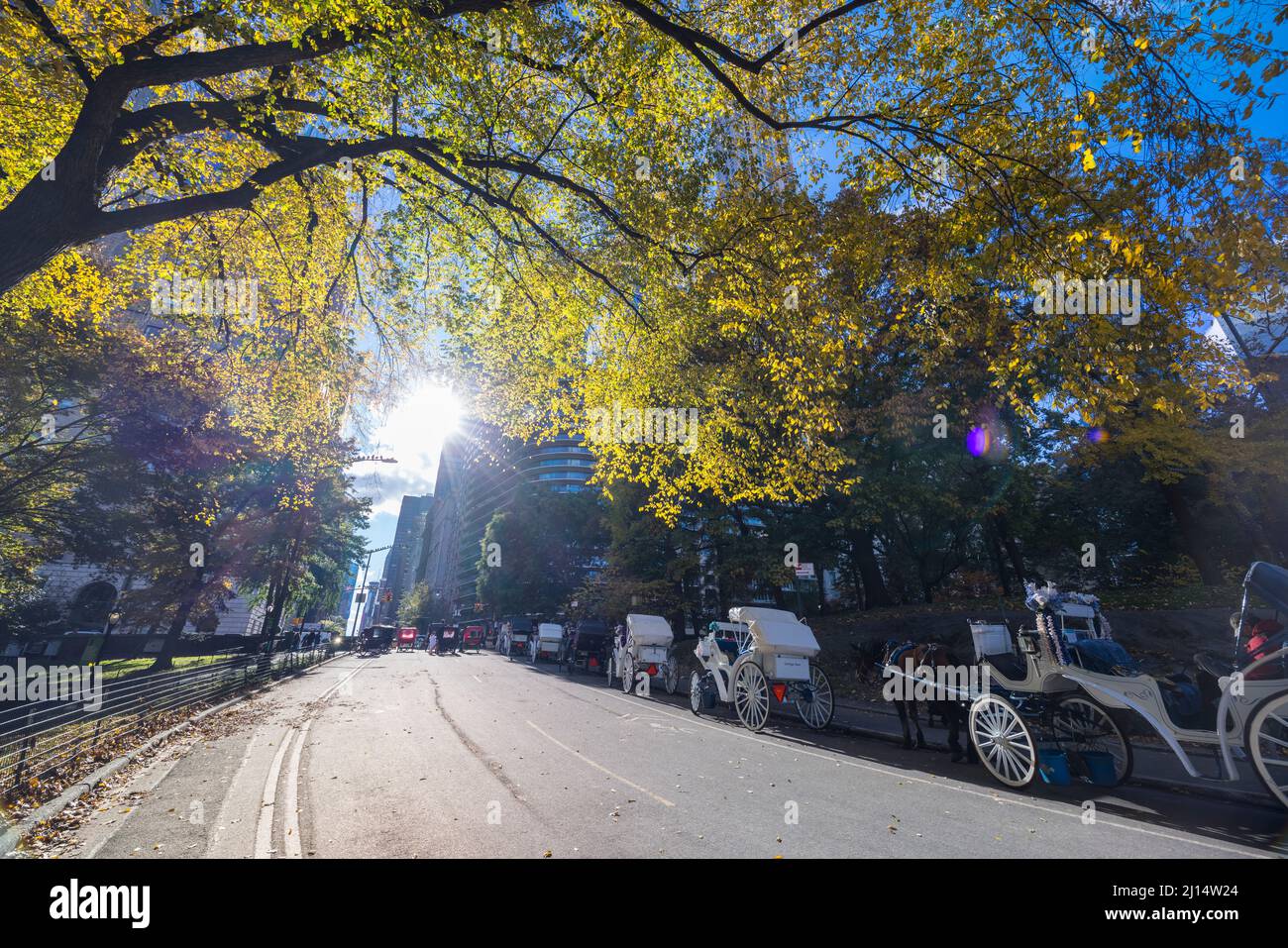 Autunno foglie di colore alberi brillare in Central Park NYC 2021 Foto Stock