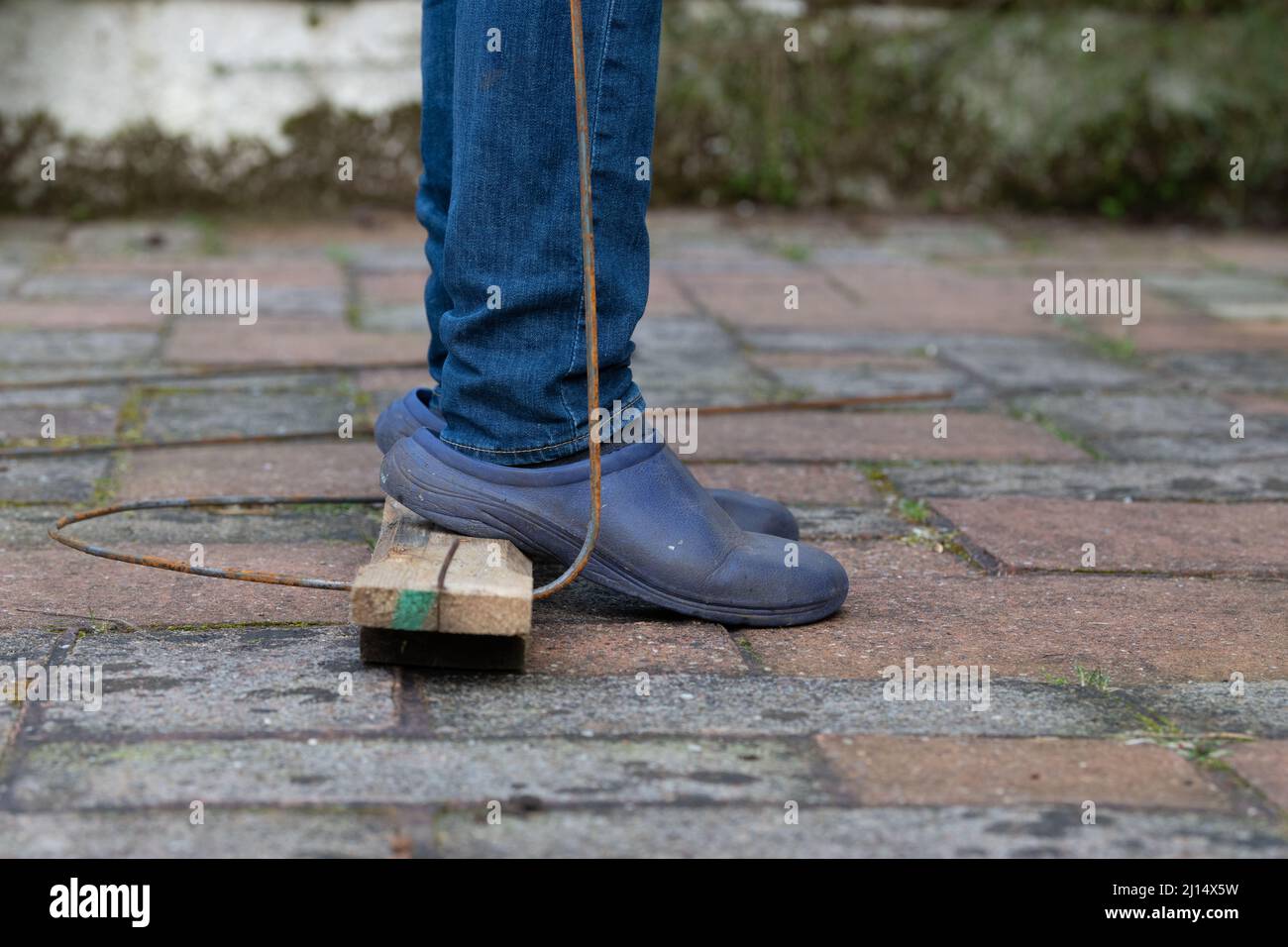 Plant sostiene - facendo i supporti di pianta di metallo piegando 6mm acciaio-verghe in forma intorno ad albero e poi . . . (per altre immagini, vedere ulteriori informazioni) Foto Stock