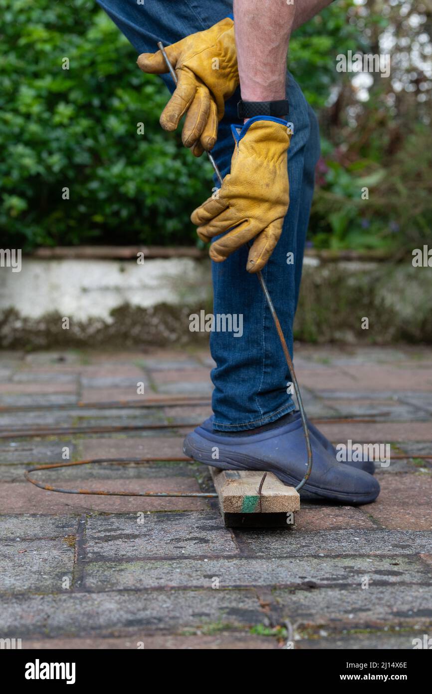 Plant sostiene - facendo i supporti di pianta di metallo piegando 6mm acciaio-verghe in forma intorno ad albero e poi . . . (per altre immagini, vedere ulteriori informazioni) Foto Stock