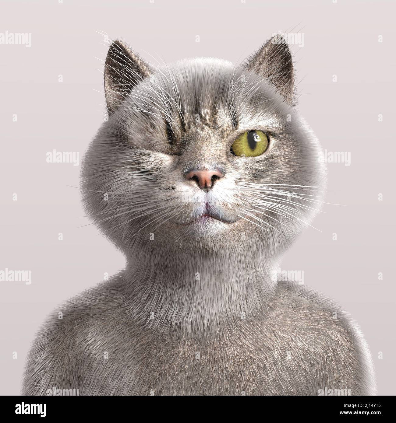 3D-illustrazione di un gatto carino e divertente fumetto winking Foto Stock