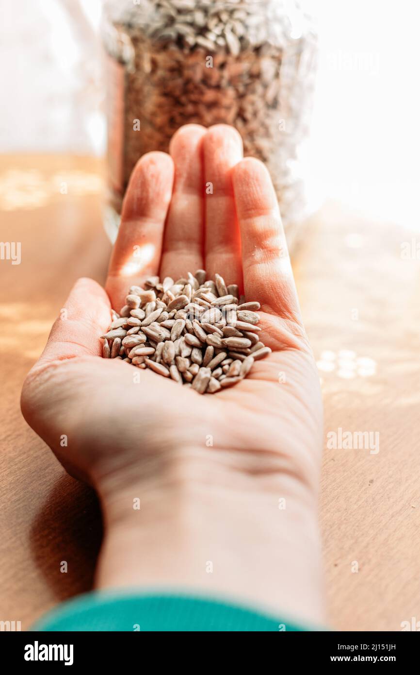 Mano femmina che tiene semi di girasole. Mangiare sano, spuntini Foto Stock