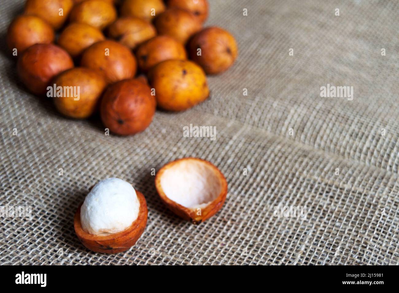 Tipica frutta brasiliana chiamata bacupari sulla parte superiore del tessuto di iuta, una frutta è aperta mostrando l'interno della frutta Foto Stock