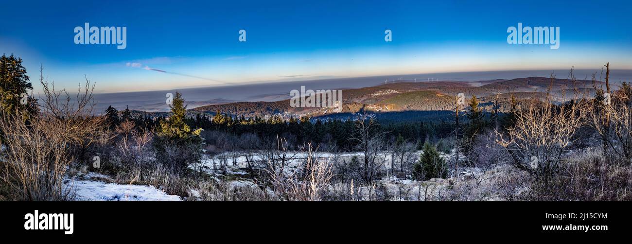 alba al mattino presto nella foresta con il luminoso raggio del sole nella zona di Taunus Foto Stock