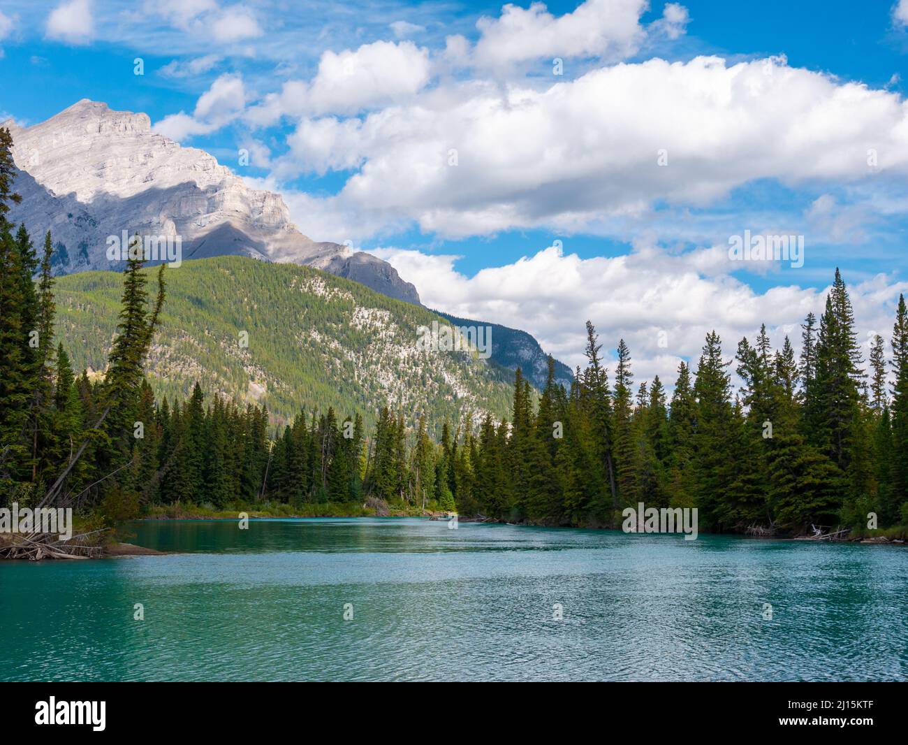 Città di Banff, Bow River Trail scenario in estate soleggiato giorno. Banff National Park, Canadian Rockies, Alberta, Canada. Montare Rundle sullo sfondo. Foto Stock