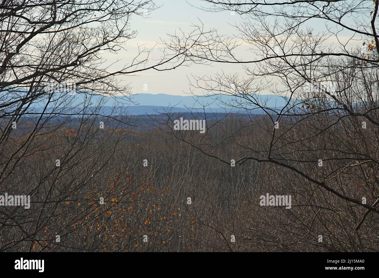 Le montagne Catskill viste da un punto alto su un sentiero presso la Borden's Pond Conservation Area, Chatham, New York Foto Stock