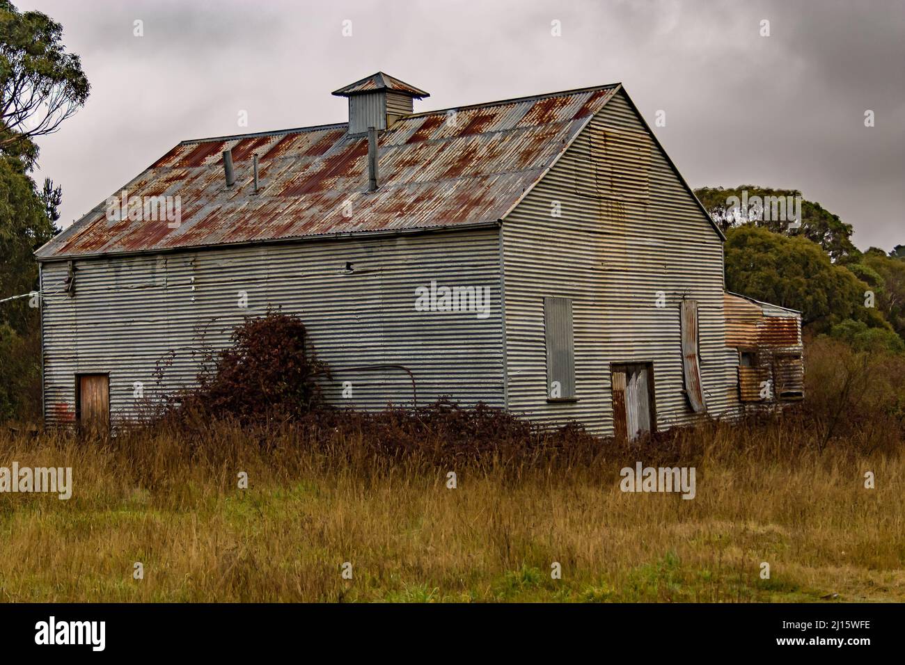 Fronte di abbandonata scendono in stagno capannone arrugginito e decadente in un campo Foto Stock