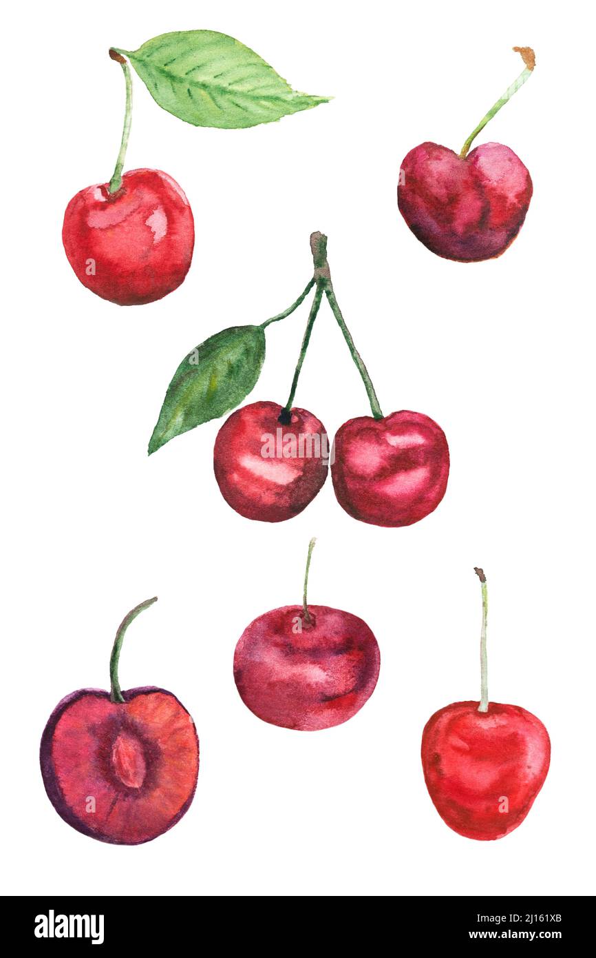 set di frutti rossi maturi di ciliegia, isolati su bianco. Illustrazione degli alimenti per poster, stampe o disegni. Foto Stock